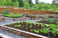Organic Produce