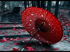 Oriental Umbrellas