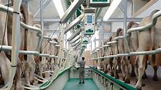Other Dairy Products