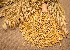 Other Feed Additives