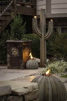 Outdoor Plants