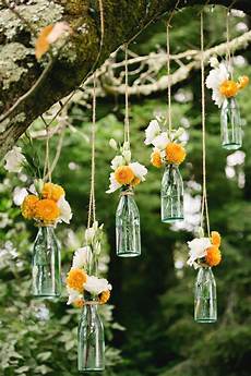 Outdoor Plants