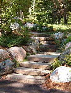 Outdoor Plants