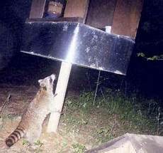 Outdoor Shelters