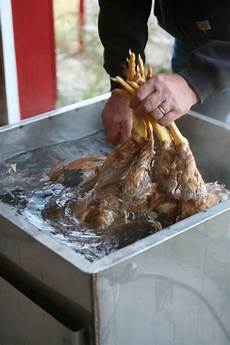 Packaging Product Processing