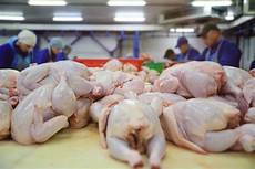 Packaging Product Processing