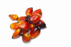 Palm Oil