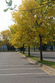 Parking Lot