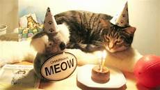 Party Hats