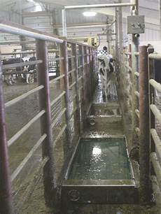 Pasteurizer