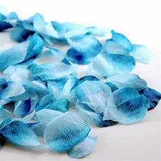 Pe Aisle Runner