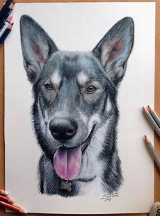 Pencil Drawing