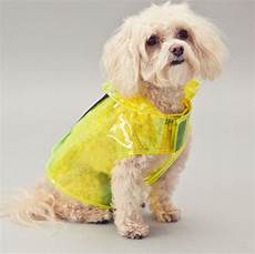 Pet Accessories