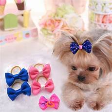 Pet Accessories
