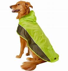 Pet Apparel