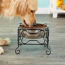 Pet Bowls & Feeders