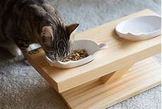 Pet Bowls & Feeders