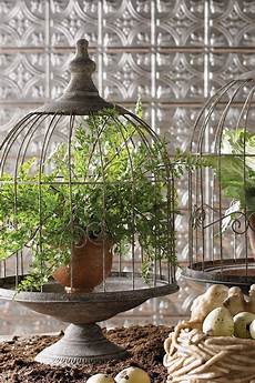 Pet Cages