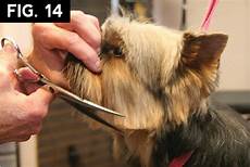 Pet Cleaning Grooming Products