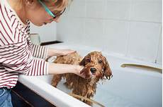Pet Cleaning Products