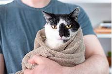 Pet Cleaning Products