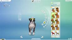 Pet Clothing