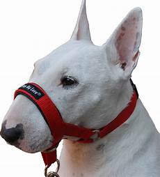Pet Collars Leashes