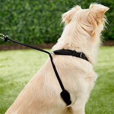 Pet Collars Leashes
