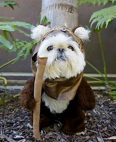 Pet Costumes