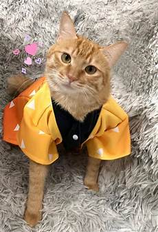 Pet Costumes
