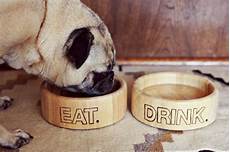 Pet Feeding Accessories