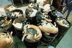 Pet Food