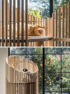 Pet Furniture