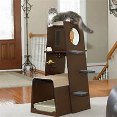 Pet Furniture