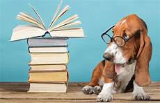 Pet Health