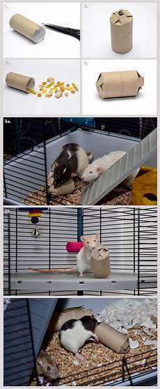 Pet Houses