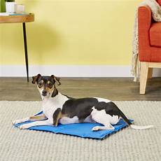 Pet Products