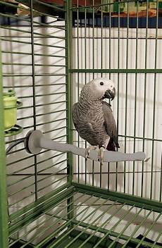 Pet Products