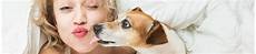 Pet Supplements