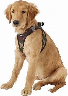 Pet Supplies