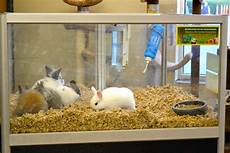 Pet Supplies