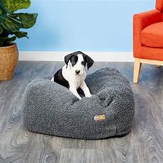 Pet Supplies