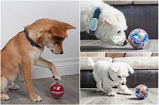 Pet Toys
