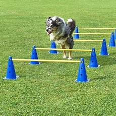 Pet Training Products