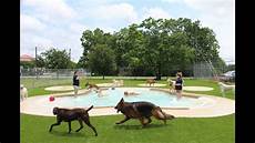 Pet Training
