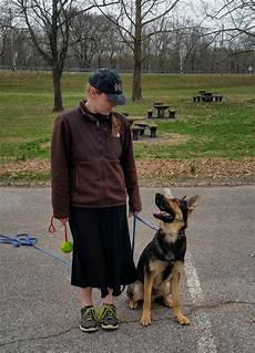 Pet Training