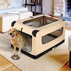 Pet Travel Products