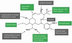 Pharmaceutical Intermediates