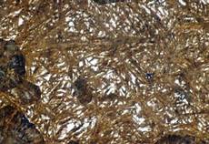 Plain Carbon Steels