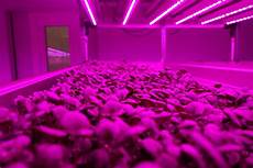 Plant Air Filtration